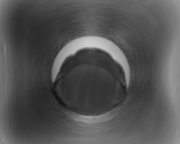 X0000088690039200706141420