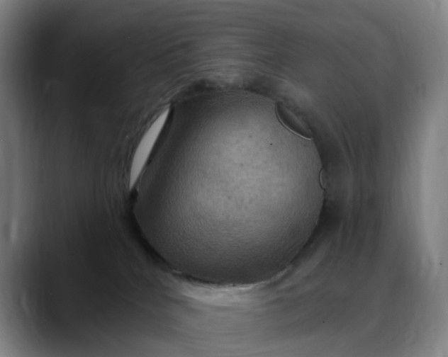 X0000088690040200706141420