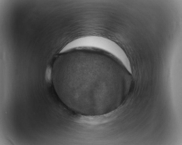 X0000088690041200706141420
