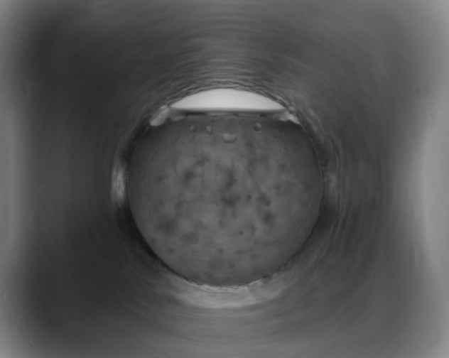 X0000088690042200706141420
