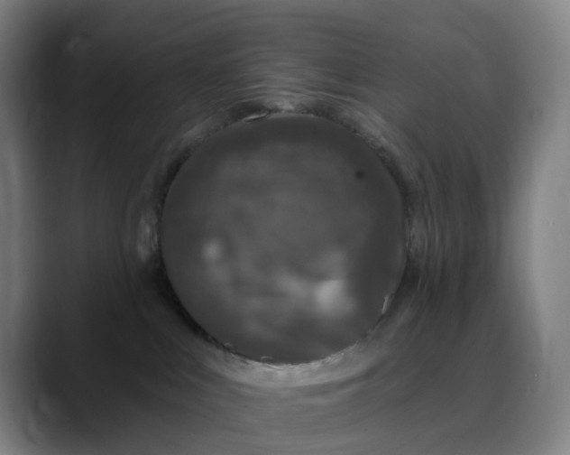 X0000088690043200706141420