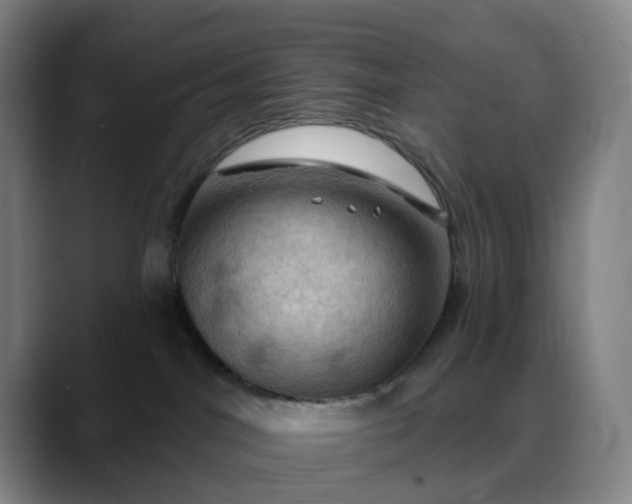 X0000088690044200706141420