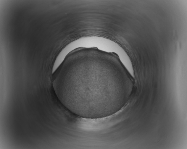 X0000088690045200706141420