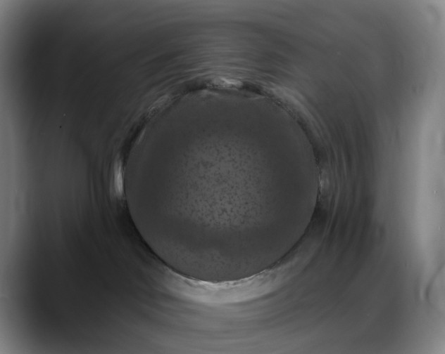 X0000088690046200706141420