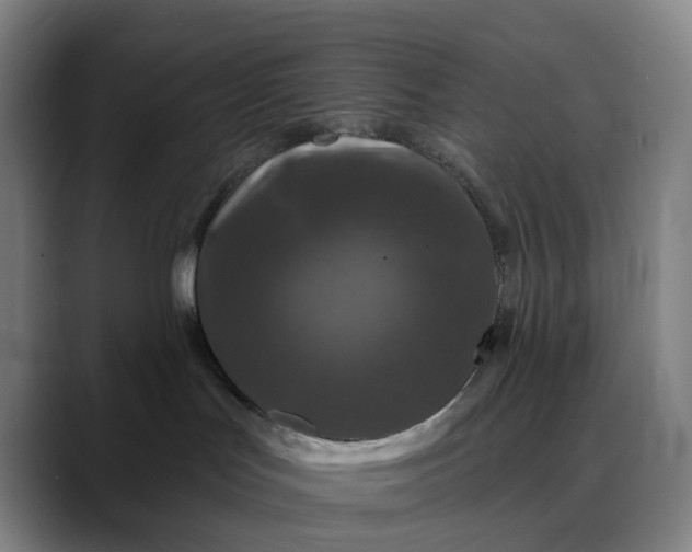 X0000088690047200706141420