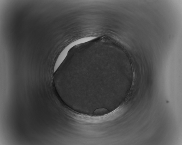 X0000088690048200706141420