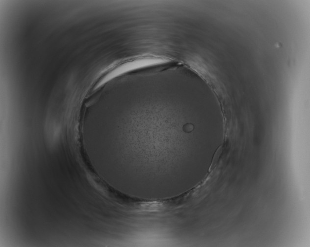 X0000088690050200706141419