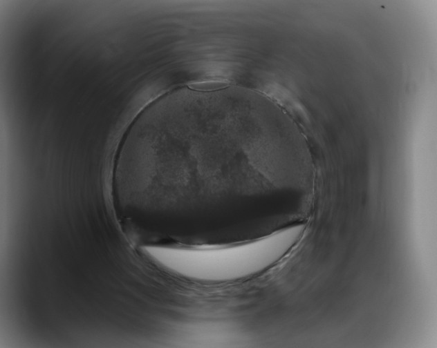 X0000088690051200706141419