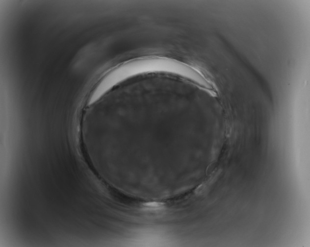 X0000088690053200706141419