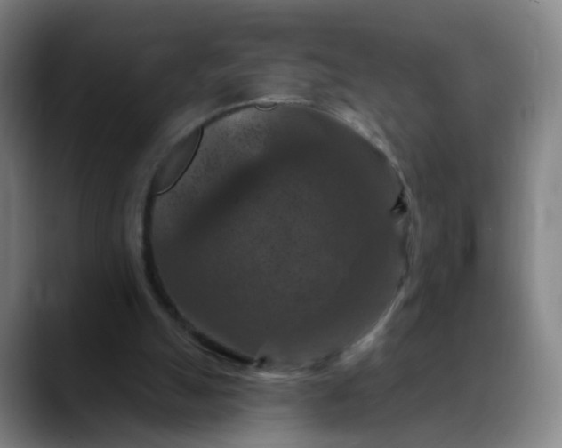 X0000088690055200706141419