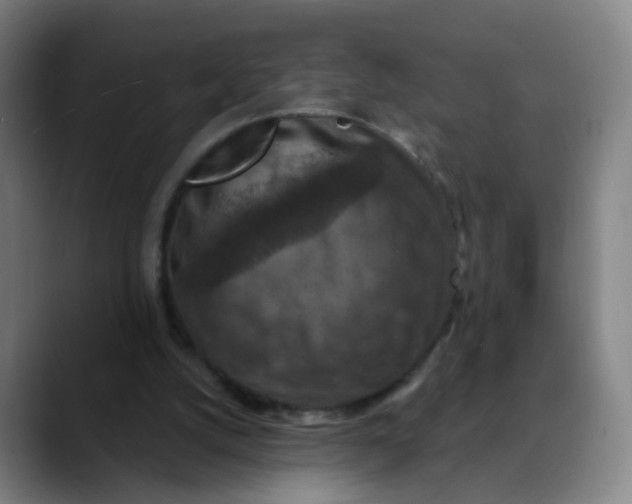X0000088690056200706141419