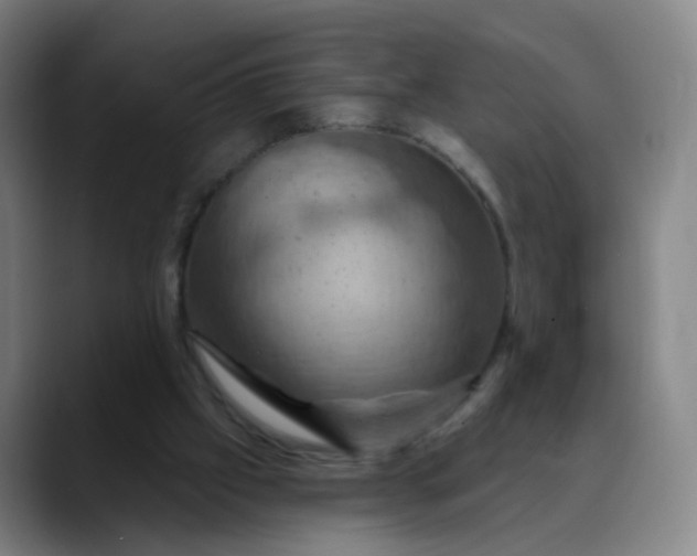 X0000088690057200706141419