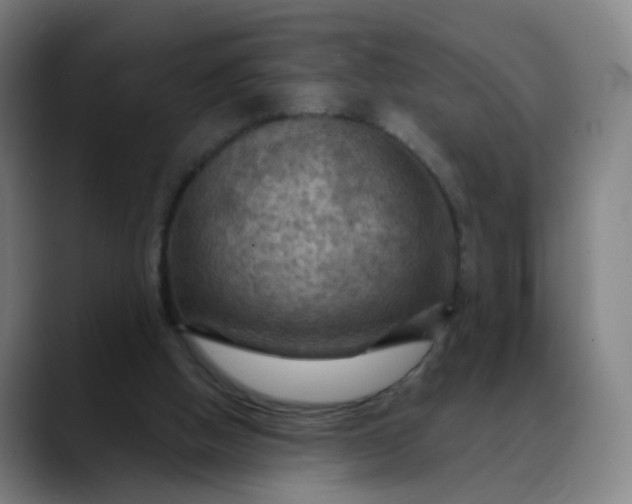 X0000088690058200706141419