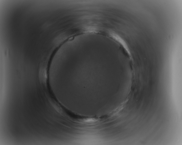 X0000088690059200706141419