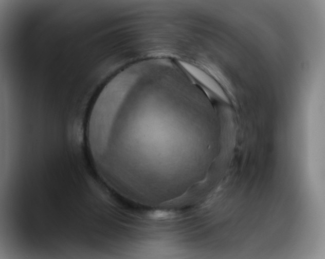 X0000088690060200706141419