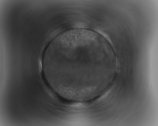 X0000088690061200706141419