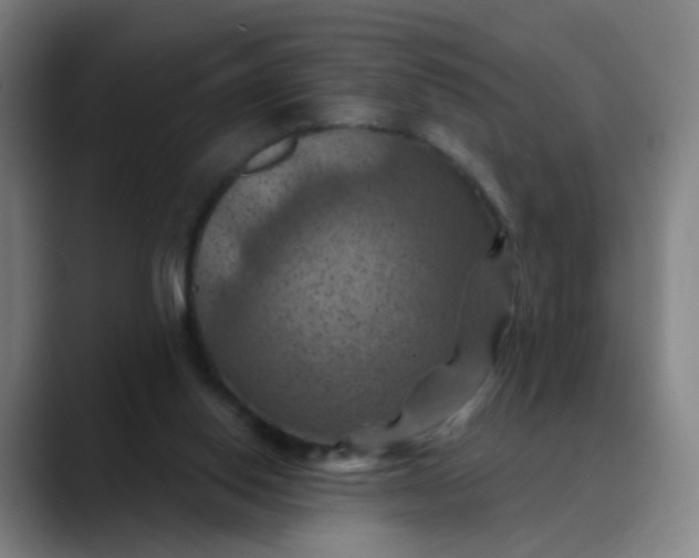 X0000088690062200706141419