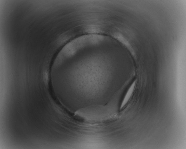 X0000088690063200706141419