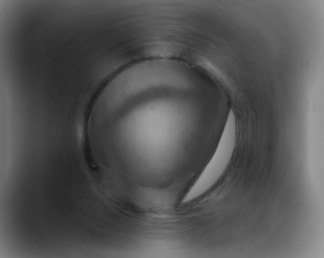 X0000088690064200706141419