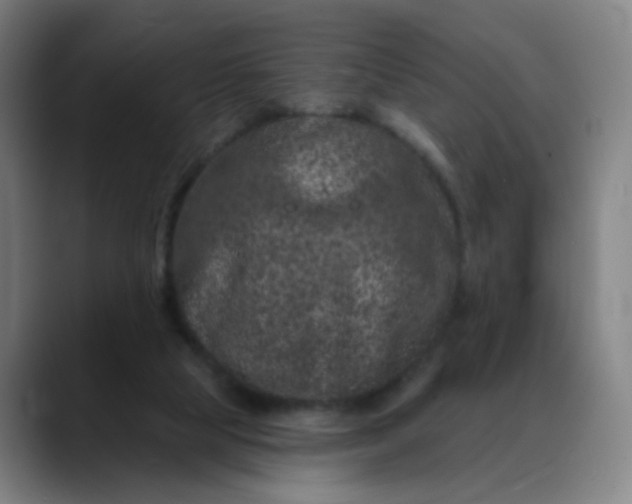 X0000088690065200706141419