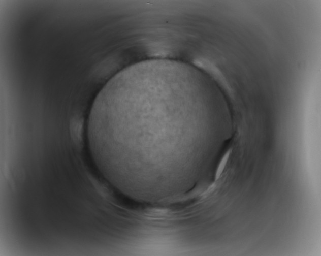 X0000088690066200706141419