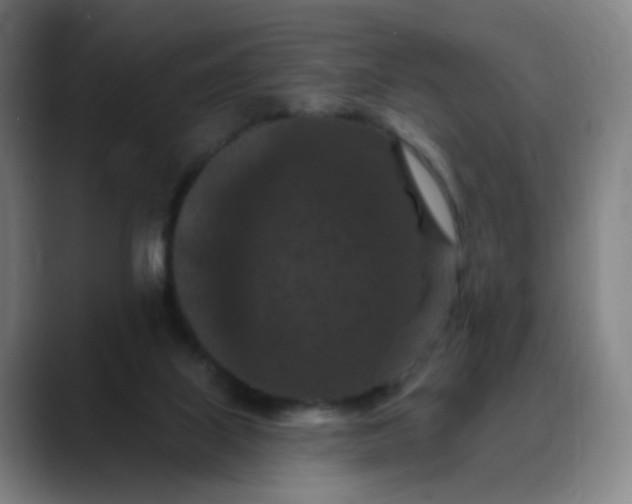 X0000088690067200706141420