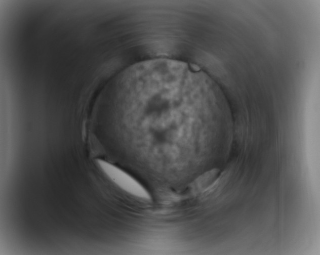 X0000088690070200706141420