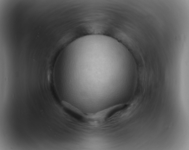 X0000088690071200706141420