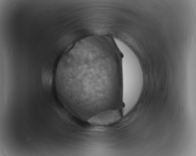 X0000088690072200706141420