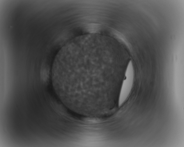 X0000088690073200706141420