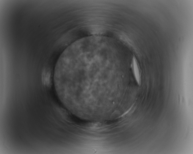 X0000088690074200706141420