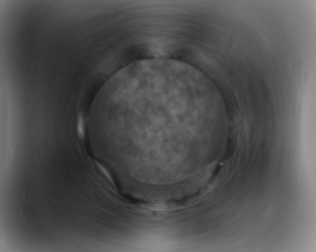 X0000088690075200706141420