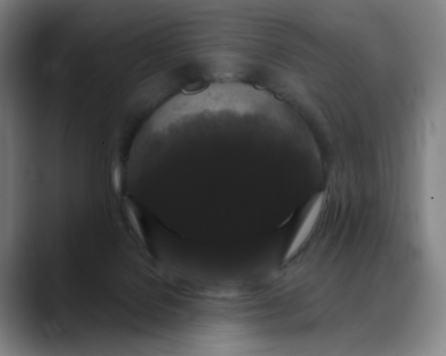 X0000088690076200706141420
