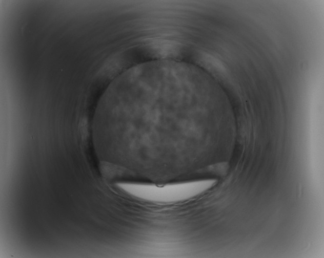 X0000088690077200706141420