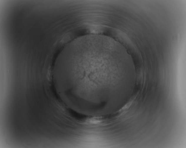 X0000088690078200706141420