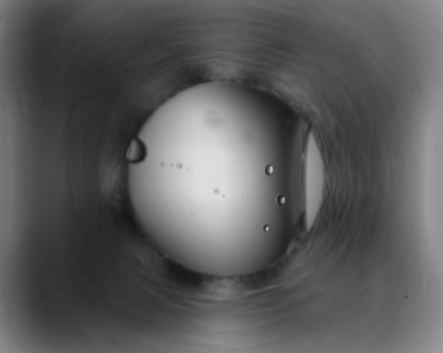 X0000088690079200706141420