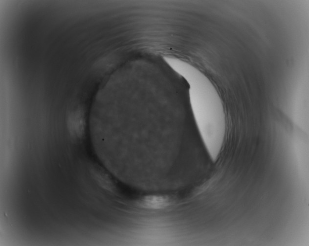 X0000088690080200706141420