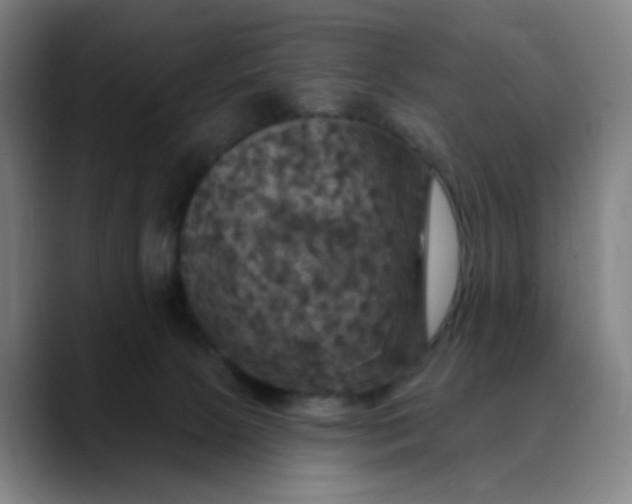 X0000088690081200706141420