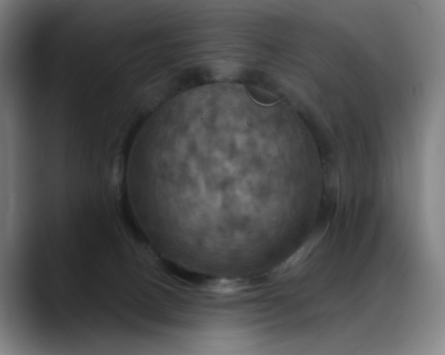 X0000088690082200706141420