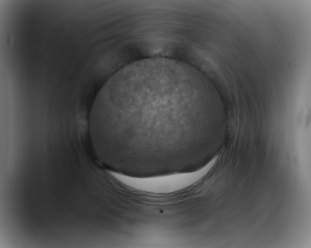 X0000088690085200706141420