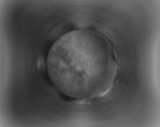 X0000088690086200706141420