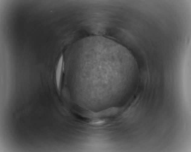 X0000088690088200706141420