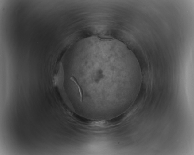 X0000088690089200706141420