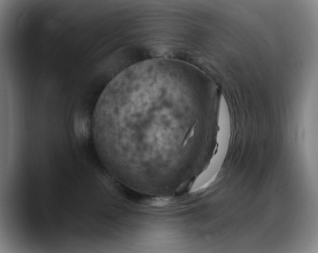 X0000088690090200706141420