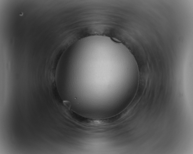 X0000088690091200706141420