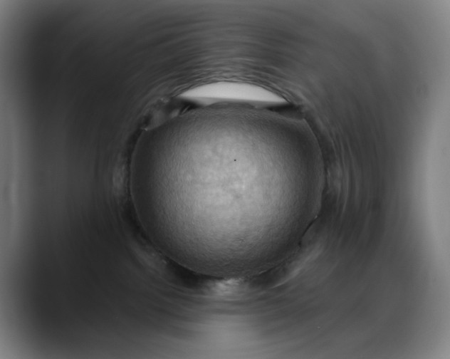 X0000088690092200706141420