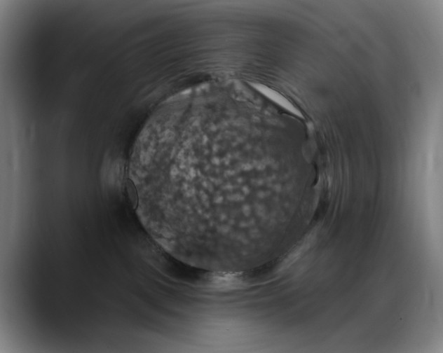 X0000088690093200706141420