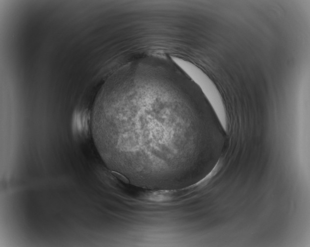 X0000088690094200706141420