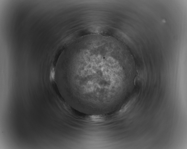 X0000088690095200706141420