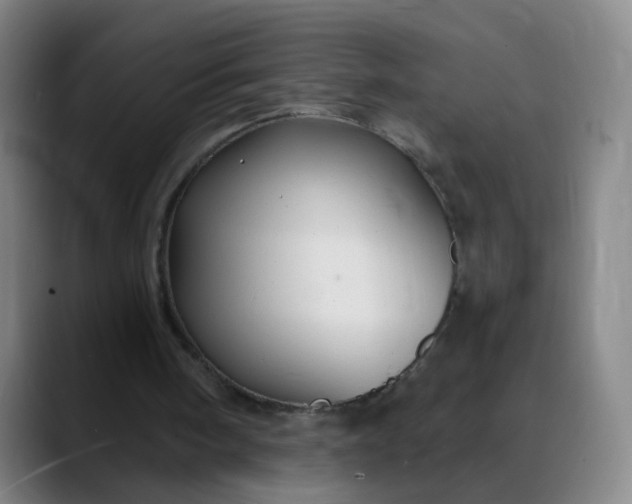 X0000088690098200706141419